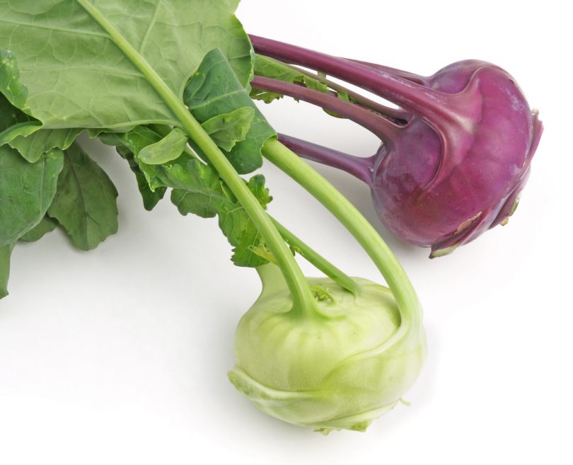 white-and-purple-kohlrabi.jpg